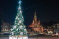 DSC00217.jpg