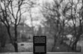 Vi35bokeh.jpg
