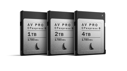 2022_Angelbird_Press_Kit_Images_AV_PRO_CFexpress_MK2_02_Web_3840x2160.png