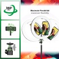 PATONA Premium Vlogger Kit_5.jpg