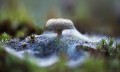 zestaw-filtrow-lensbaby-46mm-macro-filter-kit_11.jpg