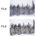 obiektyw-lensbaby-composer-pro-ii-w:-soft-focus-ii-optic_10.jpeg
