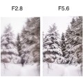 obiektyw-lensbaby-composer-pro-ii-w:-soft-focus-ii-optic_11.jpeg