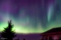 obiektyw-lensbaby-composer-pro-ii-w:-soft-focus-ii-optic_16.jpg