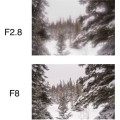 obiektyw-lensbaby-composer-pro-ii-w:-soft-focus-ii-optic_12.jpeg