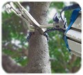 zacisk-lancuchowy-kupo-kcp-606-10-inch-chain-clamp_04.jpg