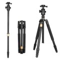 statyw-fotograficzny-157cm-mitoya-z-glowica-kulowa-i-funkcja-monopodu_1.jpg