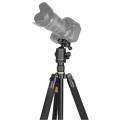statyw-fotograficzny-157cm-mitoya-z-glowica-kulowa-i-funkcja-monopodu_5.jpg