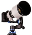 Głowica Benro gimbalowa GH-5C