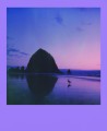 Film POLAROID ORIGINALS COLOR FILM 600 SUMMER HAZE