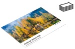 Papier fotograficzny FOMEI Archival Velvet 265gsm - arkusze 10x15 (10,2 x 15,2cm), 20 arkuszy