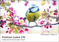 papier-fotograficzny-fomei-premium-lustre-170gsm_4.jpg