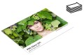 papier-fotograficzny-fomei-pro-gloss-265gsm_1.jpg