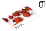 Papier fotograficzny FOMEI Pro Gloss 300gsm - arkusze A2+ (43,2 x 63,5cm), 20 arkuszy