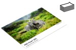 Papier fotograficzny FOMEI Pro Pearl 265gsm - arkusze A4 (21 x 29,7cm), 20+5 arkuszy w folii