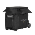 torba-ecoflow-delta-pro_1.jpg