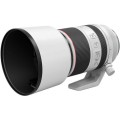 aparat-canon-eos-r6-mark-ii-rf-70-200mm-f:2.8-l-is-usm_14.jpeg