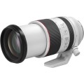 aparat-canon-eos-r6-mark-ii-rf-70-200mm-f:2.8-l-is-usm_15.jpeg