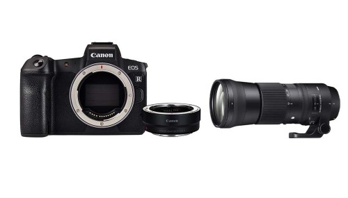 aparat-canon-eos-r-adapter-eos-r-mount-ef-eos-r-obiektyw-sigma-c-150-600mm-f:5-6,3-dg-os-hsm-canon_01.jpg