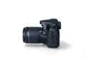 canon_70d_133026010580 (1).jpg