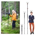 statyw-fotograficzny-240cm-kf-concept-sa254t1-z-lamana-kolumna%2c-glowica-kulowa-i-funkcja-monopodu_3.jpg