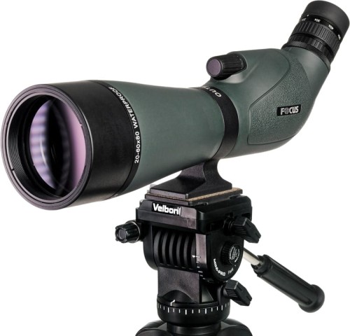 focus-sport-optics-kit-focus-outlook-20-60x80-velbon-videomate-638_01.jpg