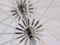 Fomei Terronic  parasol studyjny X-PARTA T-185cm półprzeźroczysty