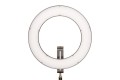 Fomei lampa LED ring SMD 23W/E