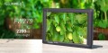 monitor-feelworld-fw279-7_15.jpg