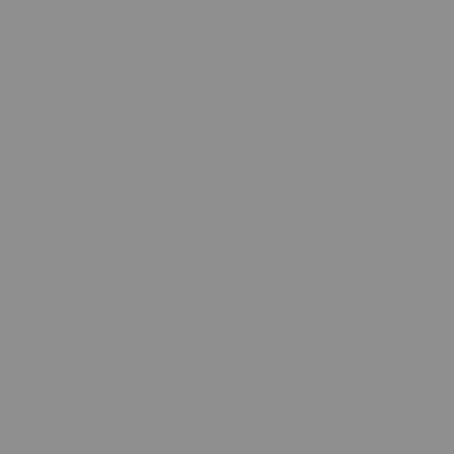 Fomei filtr konwersyjny arkusz SLS HT 220 - White Frost 61 x 53cm