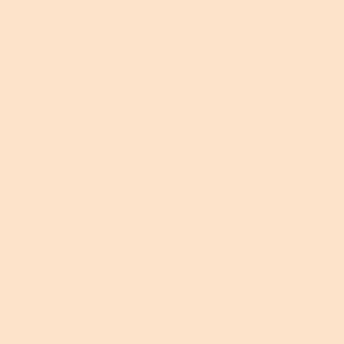 Fomei filtr konwersyjny arkusz SLS HT 223 - Eigth CT Orange 61 x 53cm