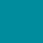 Fomei filtr konwersyjny arkusz SLS HT 116 - Medium Blue Green 61 x 53cm