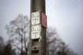 obiektyw-voigtlander-macro-apo-lanthar-65-mm-f2-2c0-do-nikon-z_opis_12.jpg