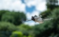 zestaw-4-filtrow-nd-1282565121000-freewell-do-dji-mini-3-pro-mini-3_5.jpg