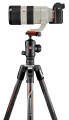 Manfrotto MKBFRTC4GTA-BH BeFree GT Carbon do aparatów Sony