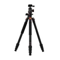 statyw-fotopro-x-go-hr-pro-z-glowica-kulowa-fph-52q-czarny_01.jpeg