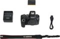 Aparat Canon EOS R6 - zawartość zestawu
