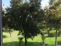 filtr-polaryzacyjny-cpl-mc-do-gopro-hero-11-10-9-black7.jpg