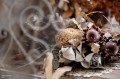 lensbaby-omni-universal-collection-bonus-wands-large_18.jpg