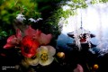 lensbaby-omni-universal-collection-bonus-wands-large_25.jpg
