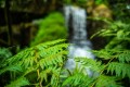 obiektyw-venus-optics-argus-28-mm-f1-2c2-ff-do-nikon-z_opis_14.jpg