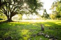 obiektyw-venus-optics-argus-28-mm-f1-2c2-ff-do-nikon-z_opis_35.jpg