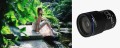obiektyw-venus-optics-laowa-58-mm-f2-2c8-2x-ultra-macro-apo-do-canon-rf_10.jpg