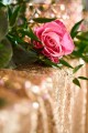 obiektyw-venus-optics-laowa-58-mm-f2-2c8-2x-ultra-macro-apo-do-canon-rf_14.jpg