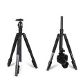 Statyw Coman TK286CV1 + głowica CV-1