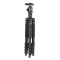 Statyw Coman TK287 + głowica CV-1