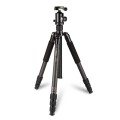 Statyw Coman TM386+ głowica CC3