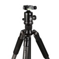 Statyw Coman TM386+ głowica CC3