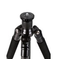 Statyw Coman TM386+ głowica CC3