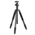 Statyw Coman TK286 + głowica CC1